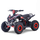 MRF Mini 36V 1000W KIDS ELECTRIC QUAD BIKE - Mini Quad Bikes