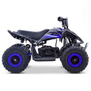 MRF Mini 36V 1000W KIDS ELECTRIC QUAD BIKE - Mini Quad Bikes
