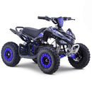 MRF Mini 36V 1000W KIDS ELECTRIC QUAD BIKE - Mini Quad Bikes
