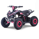 MRF Mini 36V 1000W KIDS ELECTRIC QUAD BIKE - Mini Quad Bikes
